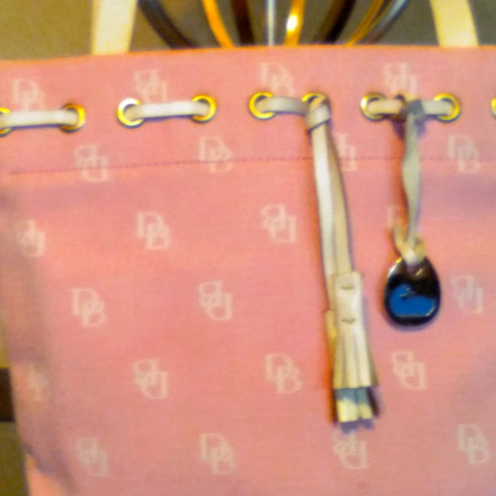 Dooney and Bourke Vintage Bag